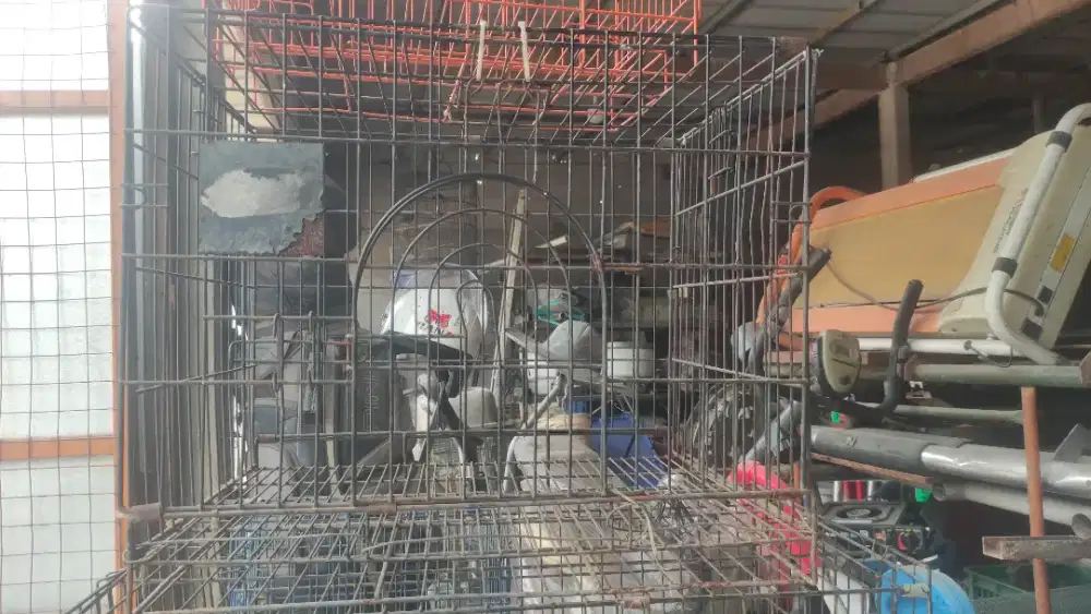 KANDANG KUCING BURUNG KELINCI 60X50