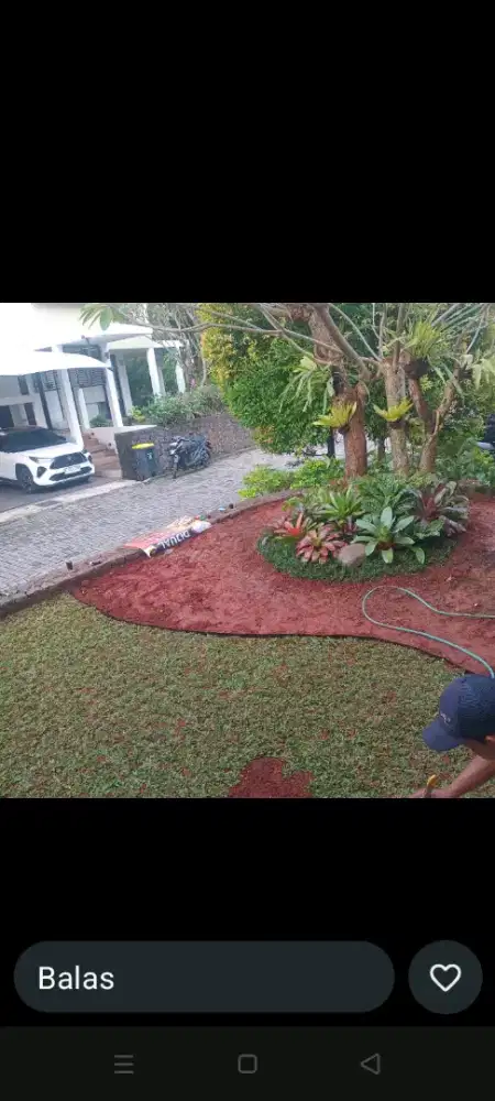 Rumput dan tukang taman