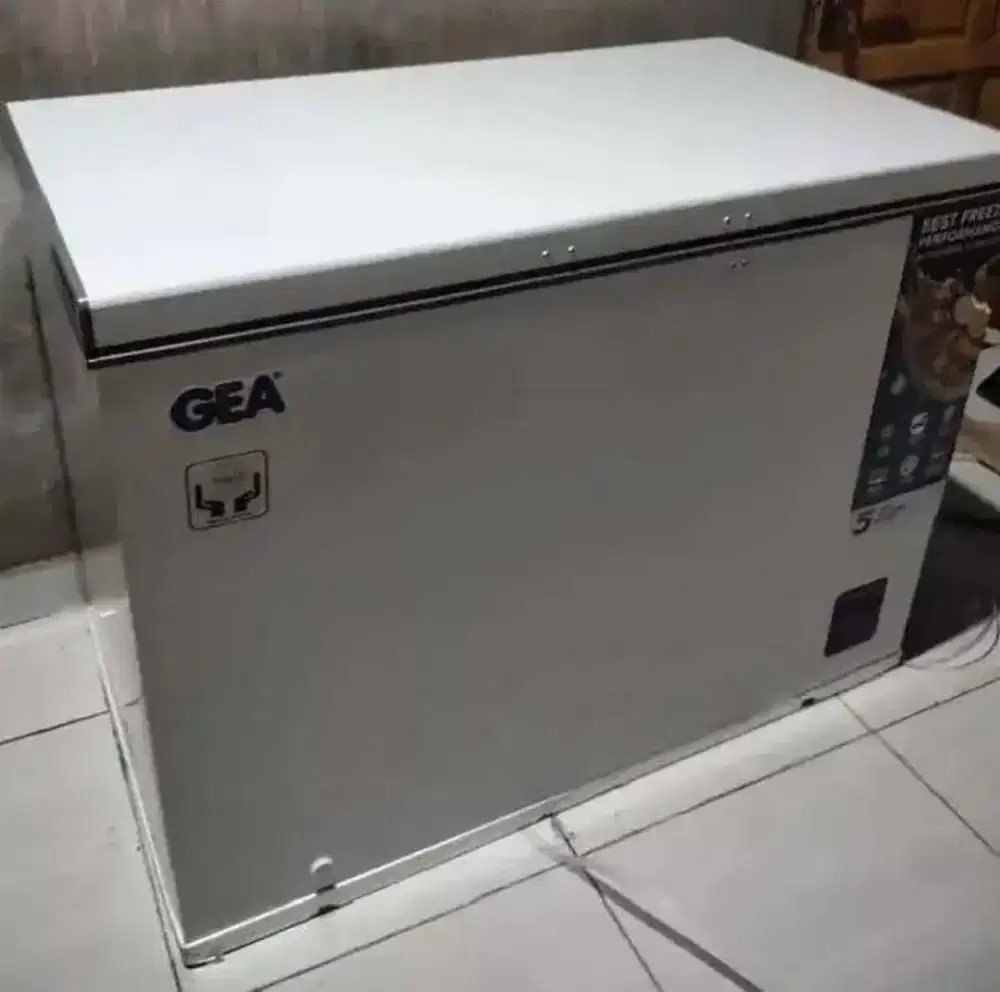 Frezzer box merk gea