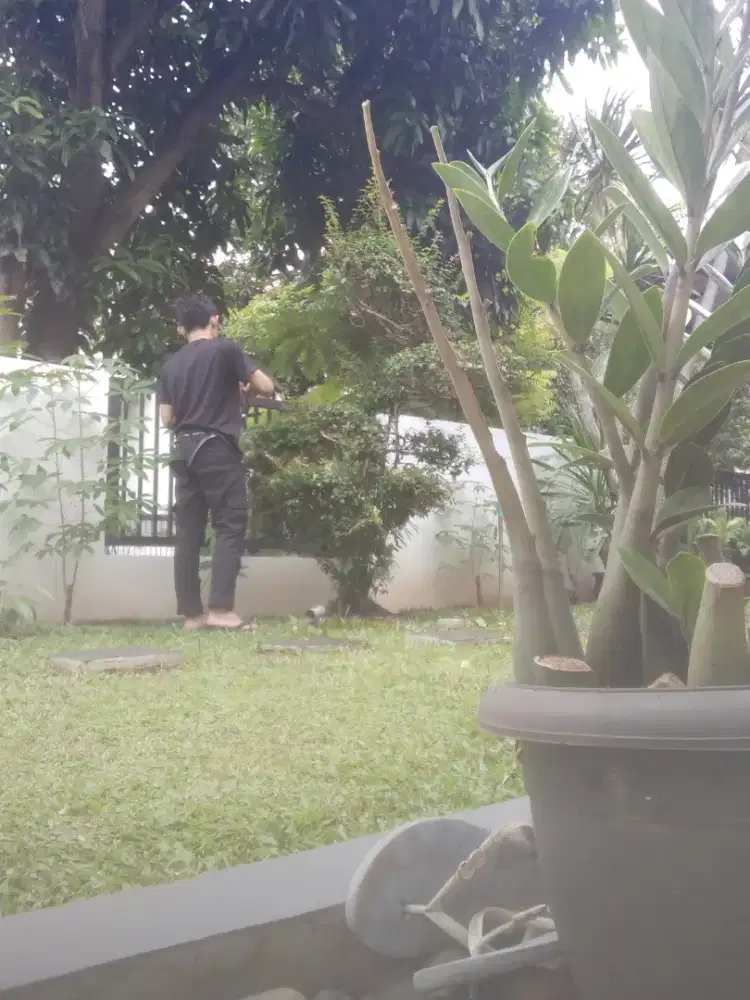 Jasa bersih bersih halaman rumah panggilan