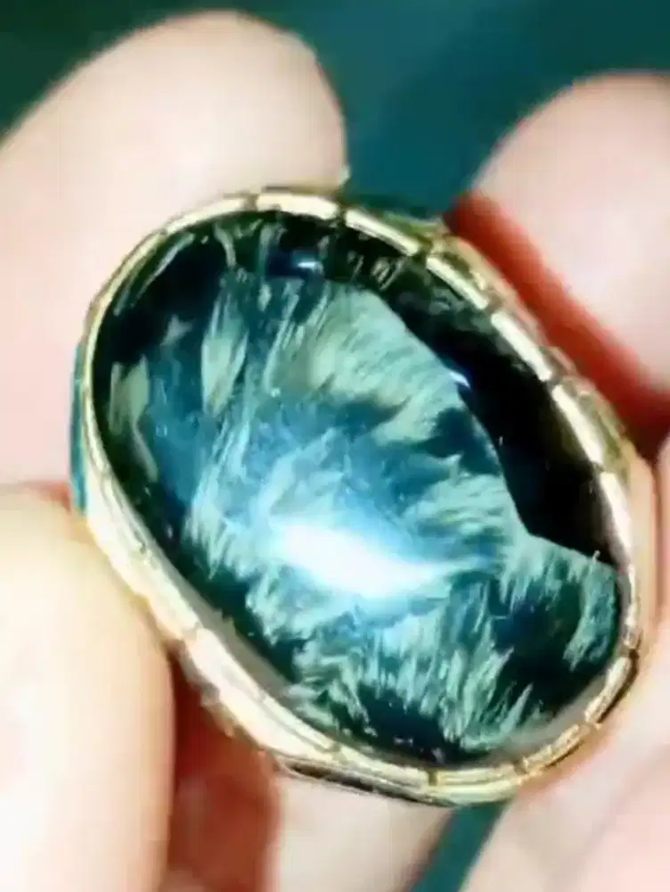 Batu Bulu Macan Lumajang Jumbo