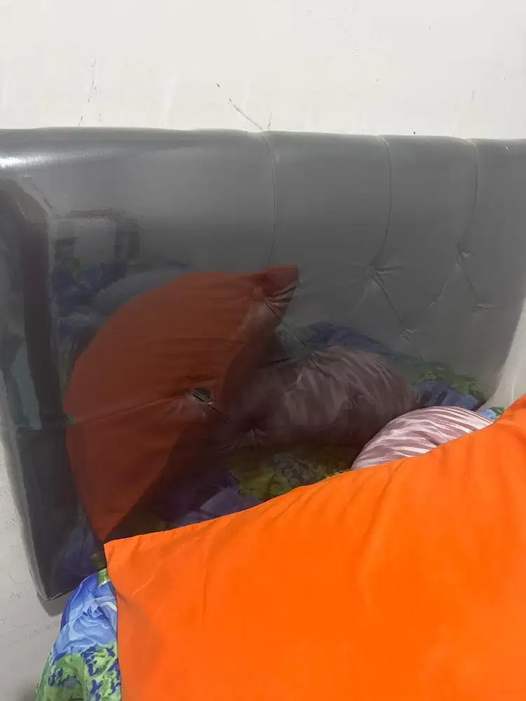 Springbed 100 x 200 cm