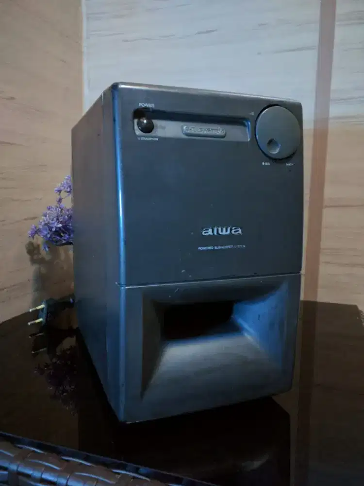 Subwoofer mini Aiwa mono speaker 4 inch