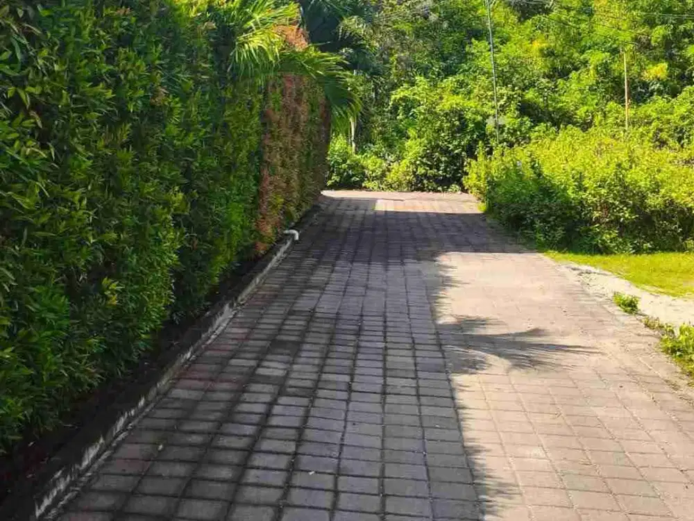 dijual tanah 1063m² IDR 500 juta per are dekat Melasti beach Ungasan Kuta Selatan Badung Bali