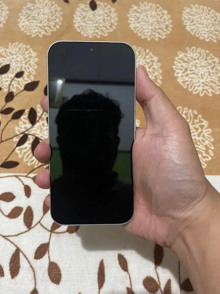 Xiaomi 17 Pro 12/512gb White