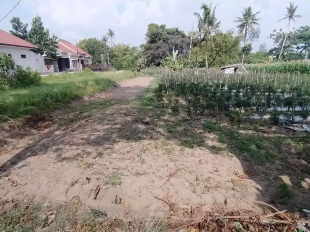 Tanah Mangku Jalan Utama di Jalan Kaliurang km10 Sardonoharjo Ngaglik Sleman