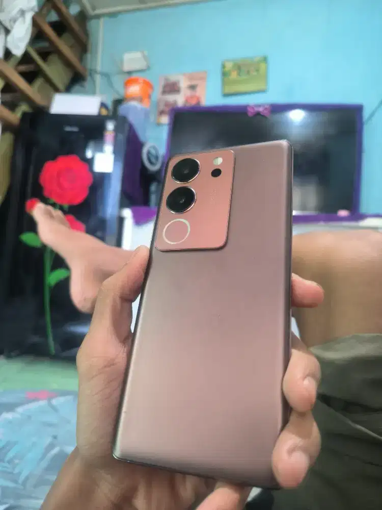 Vivo v29 8/256 hp only