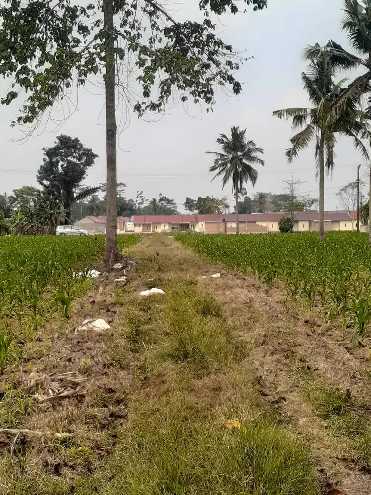 TANAH TER MURAH ITERA 100 MTR DARI JALUR DUA KORPRI