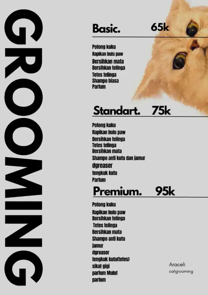 Grooming homecare dan penitipan kucing