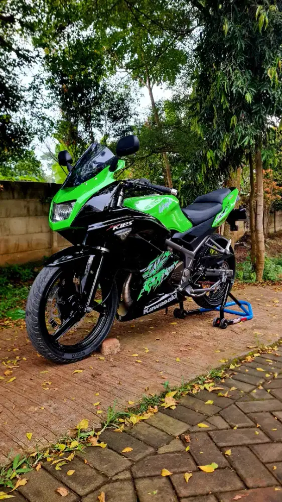 KAWASAKI Ninja RR 2013