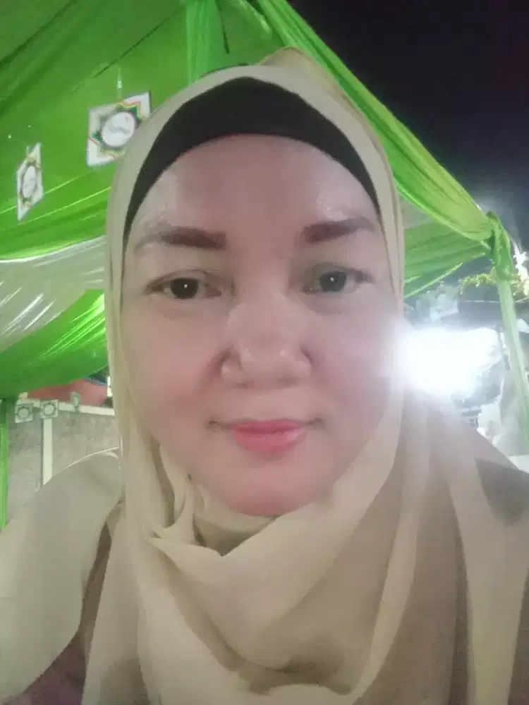 Cari kerja baby sitter dan art harian