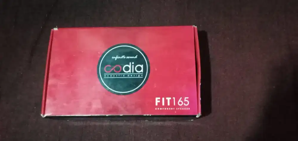 Speaker mobil codia FIT 165