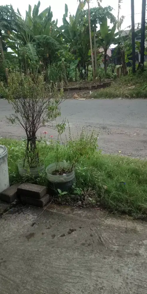 Jasa bersih bersih rumah