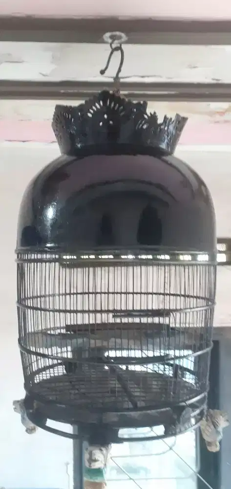 Sangkar kutut kayu dempul bagus siap pakai