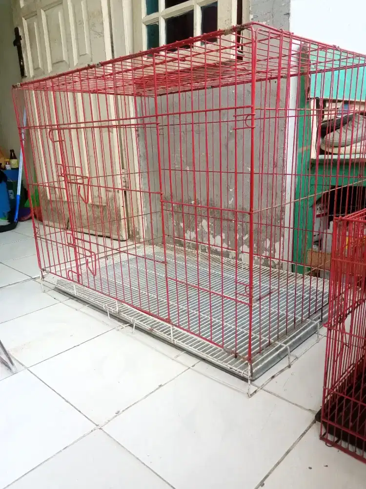 Kandang kucing jumbo besi tebal