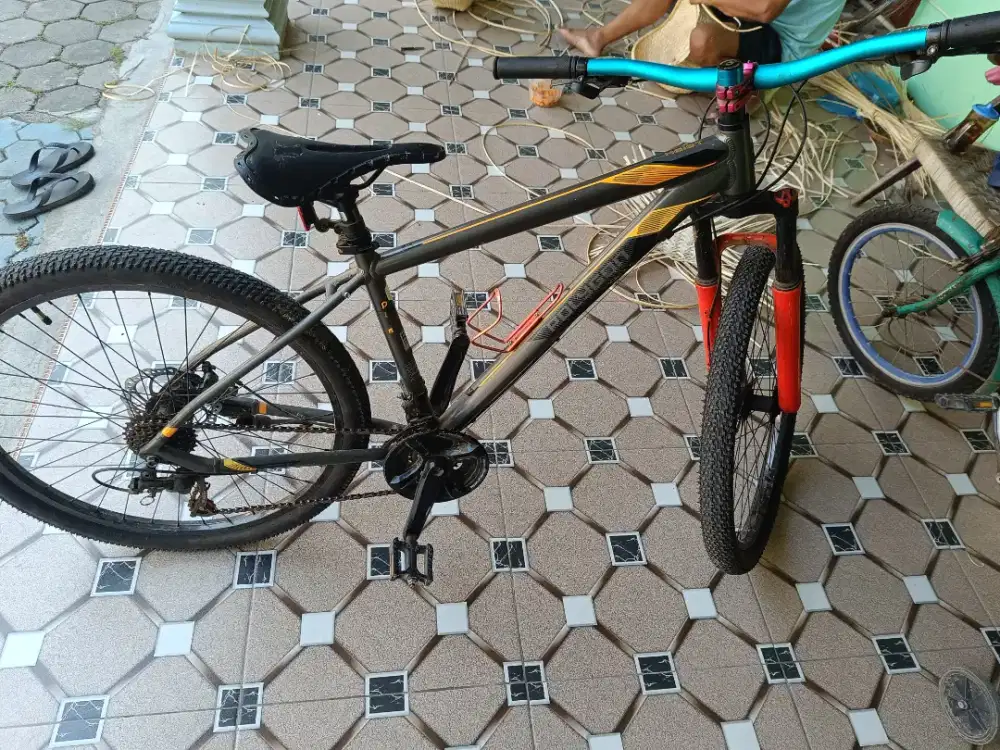 Sepeda Polygon bekas