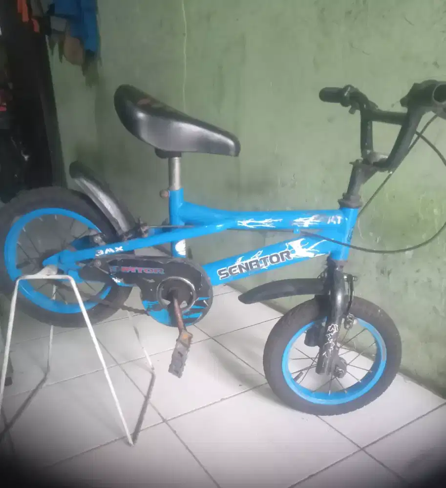 Sepeda anak senator UK 12