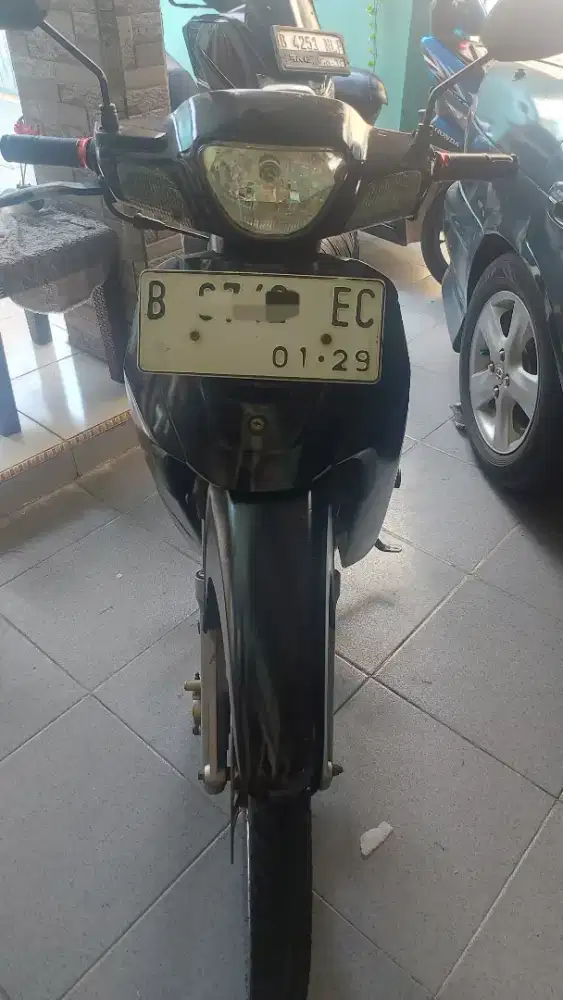 Shogun R 110 pajek idup