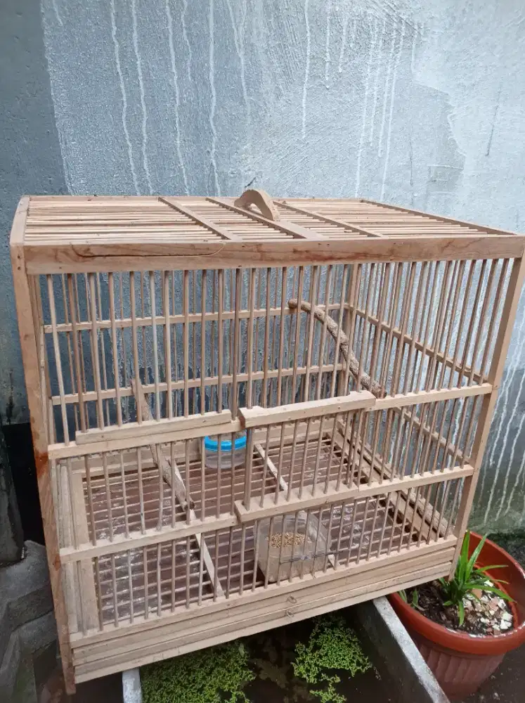 Sangkar ternak kenari