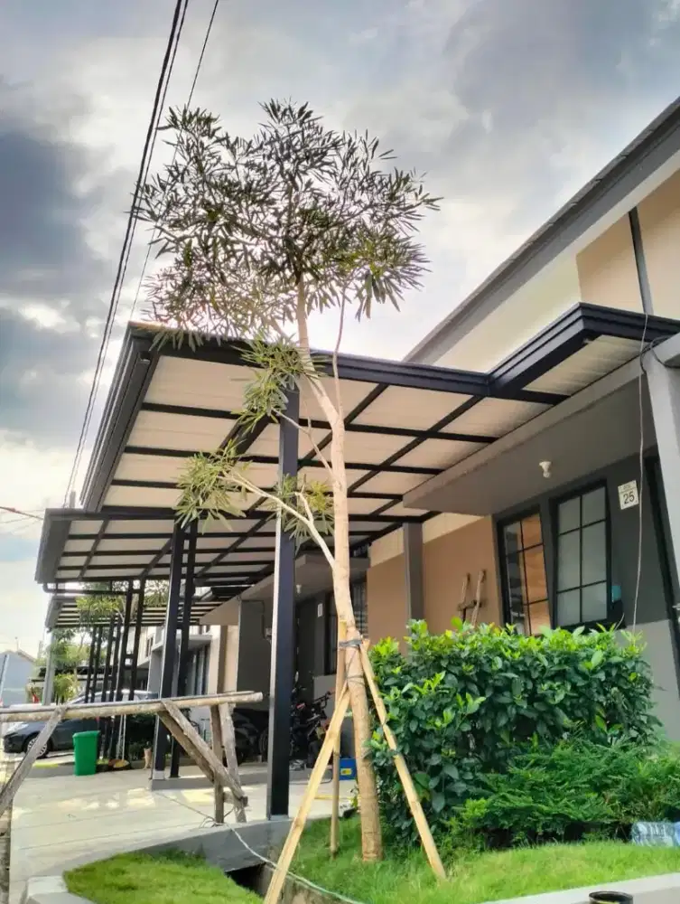 canopy alderon kardoba