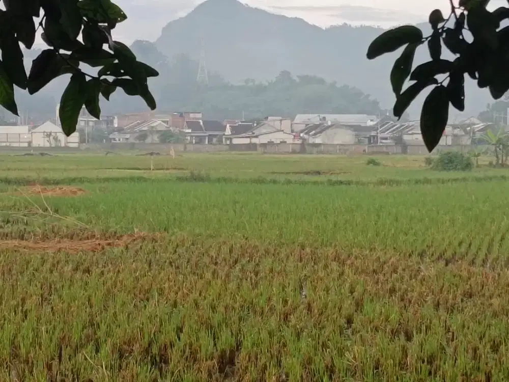 Tanah 991m² Cipatik KBB – Dekat Perumahan, Cocok Investasi & Kavling