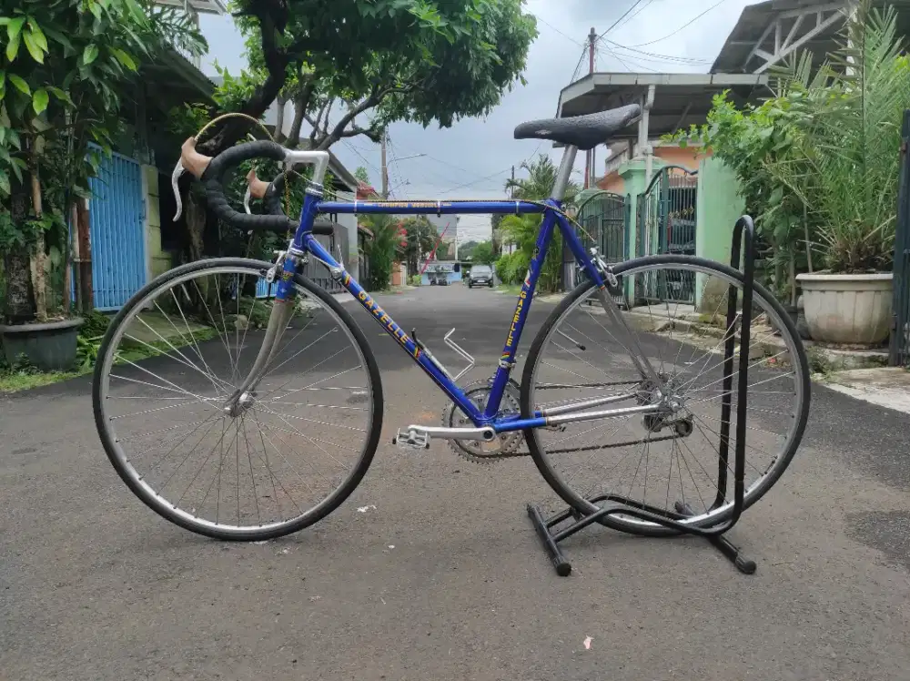 Gazelle Champion Mondial A-Frame