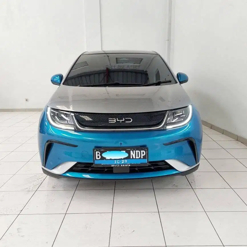 BYD Dolphin Premium 2024