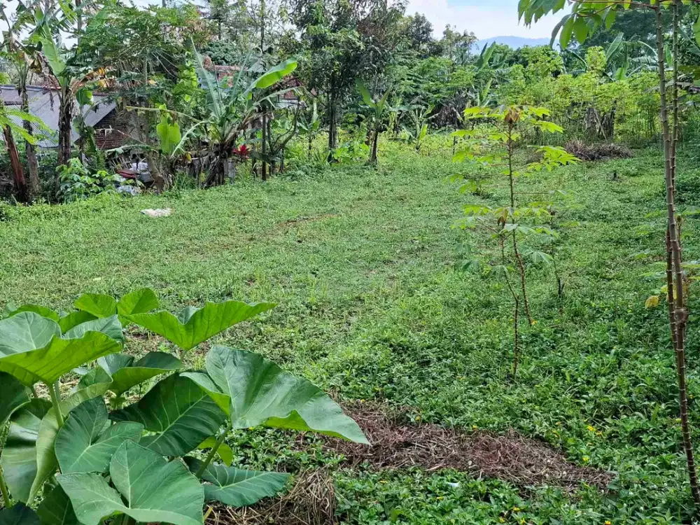 JUAL CEPAT TANAH AKSES MASUK MOTOR BAROS BANJARAN