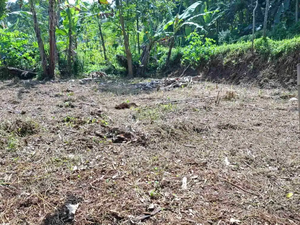 JUAL CEPAT TANAH HARGA TERJANGKAU AKSES MASUK MOTOR