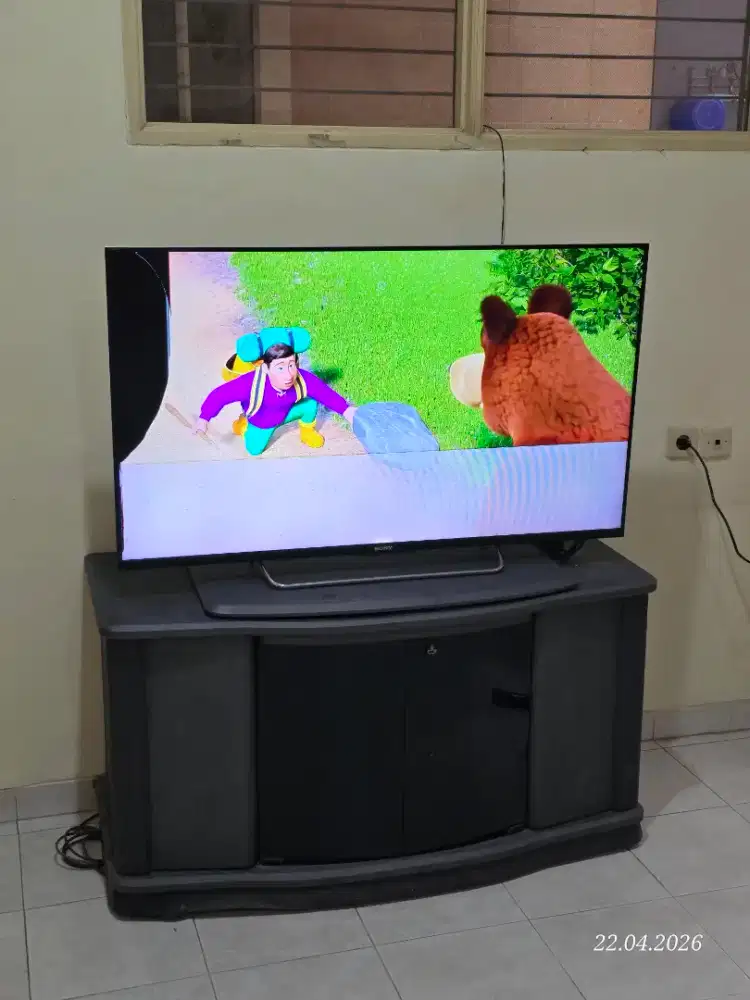 Sony. 50' inch diagonal