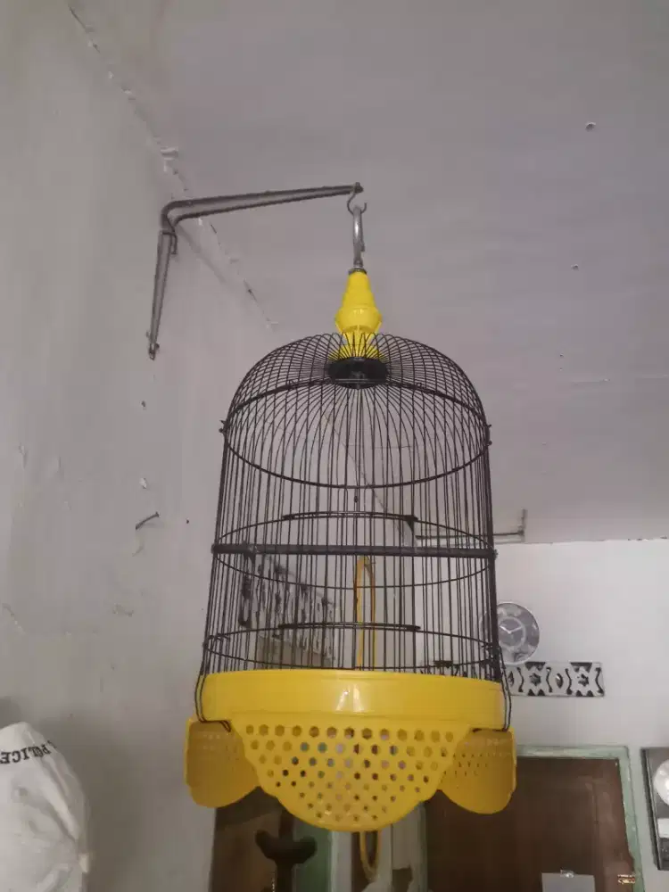 Sangkar Bekas Mulus