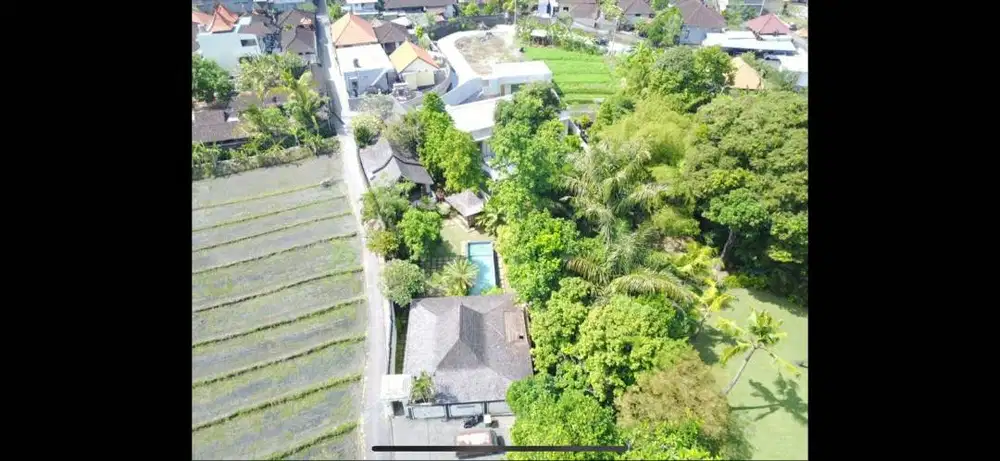 Tanah dijual beserta 3 rumah kayu gratis