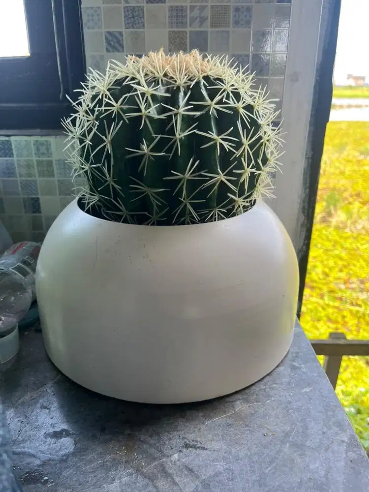 Dekorasi Rumah (pot besi + Bunga hias)