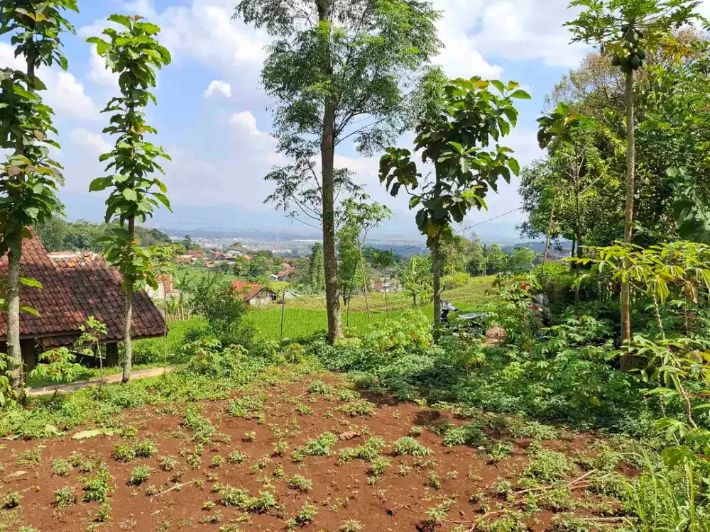 JUAL CEPAT TANAH MURAH AKSES MASUK MOTOR HARGA DIBAWAH PASARAN BAROS BANJARAN