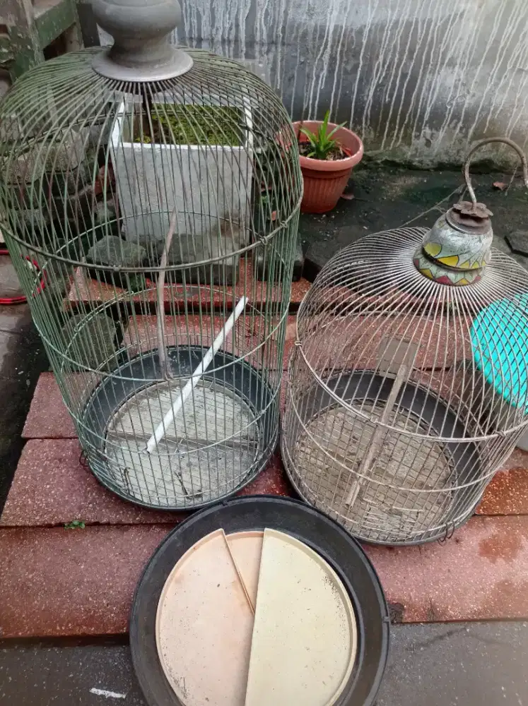 2 Sangkar Lovebird
