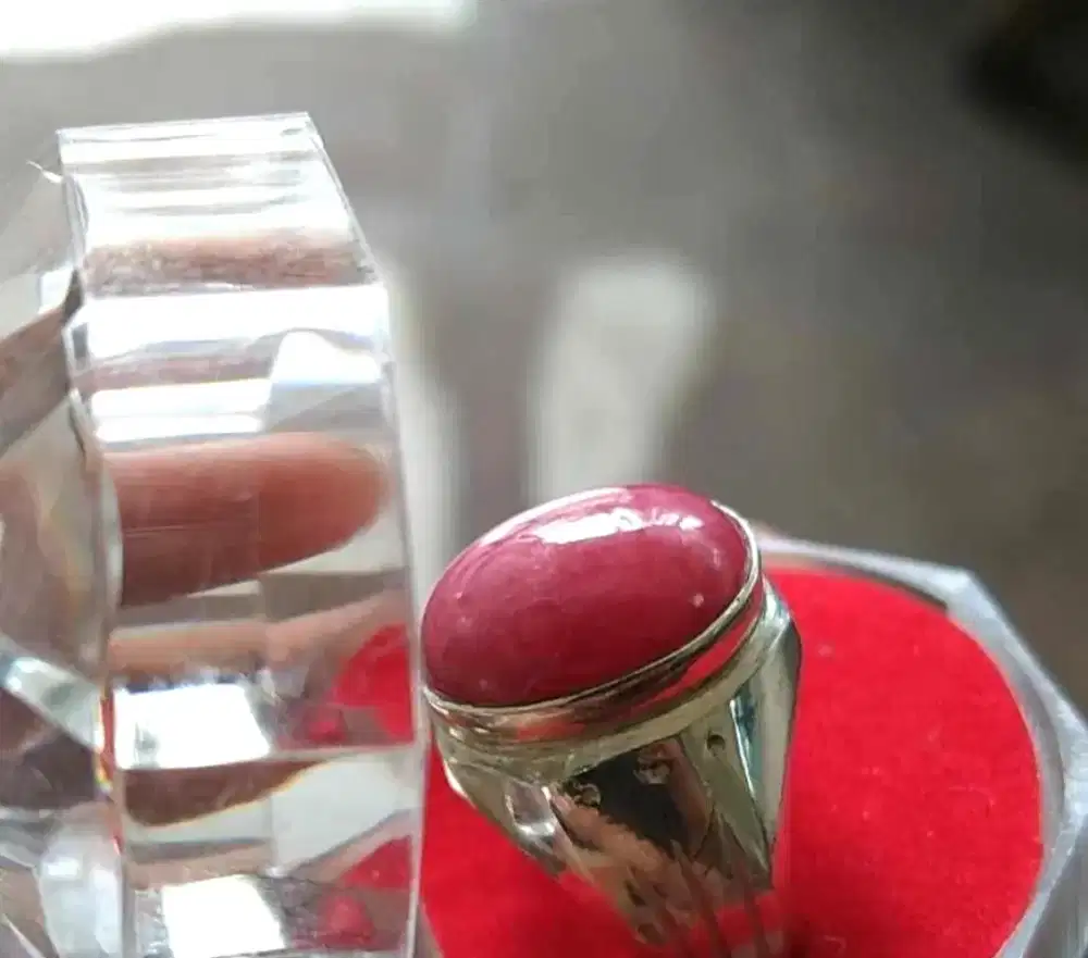 Red borneo kalimantan