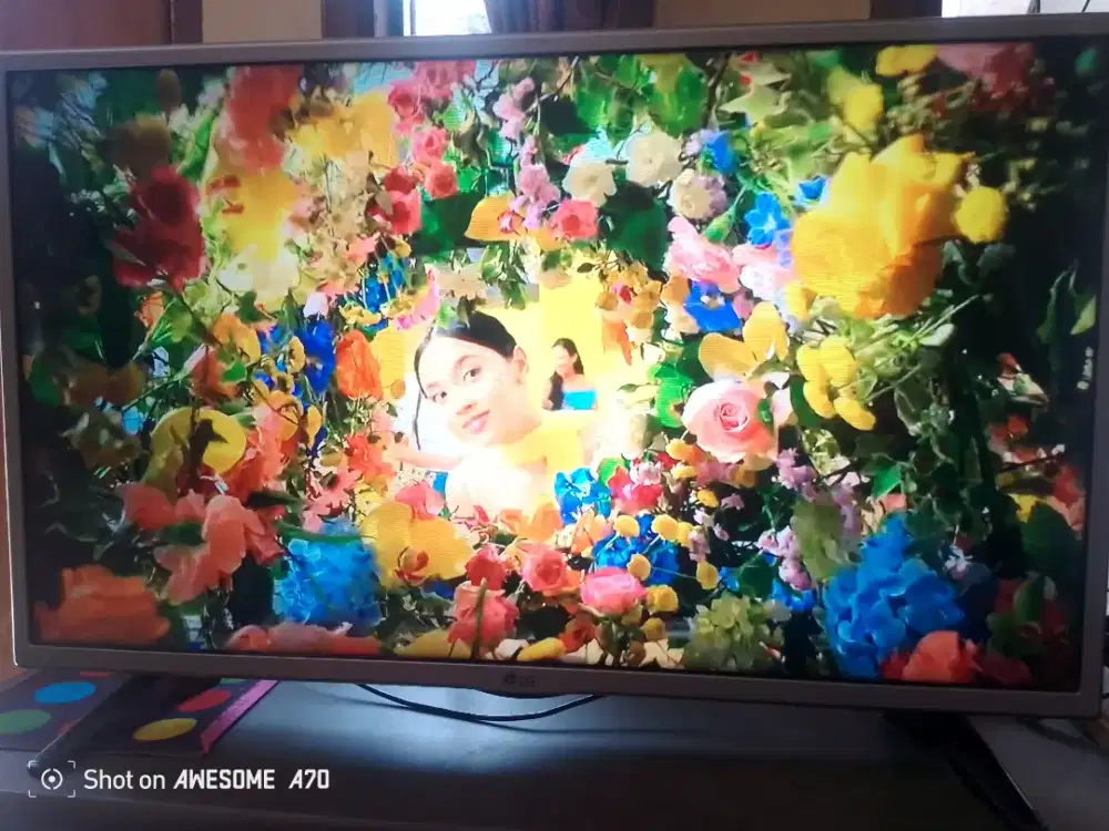 Tv LG 32 Inch Digital Mulus no Minus