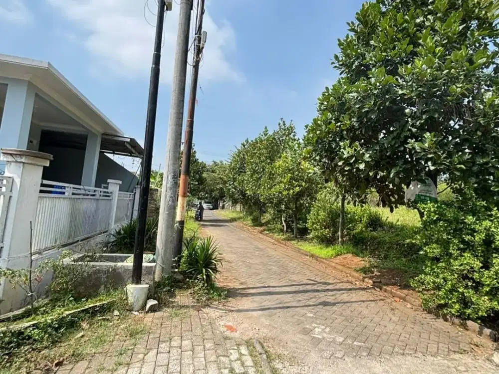 Promo Tanah Kota Malang, Potensi Rumah dan Kos, Dekat Kampus UMM