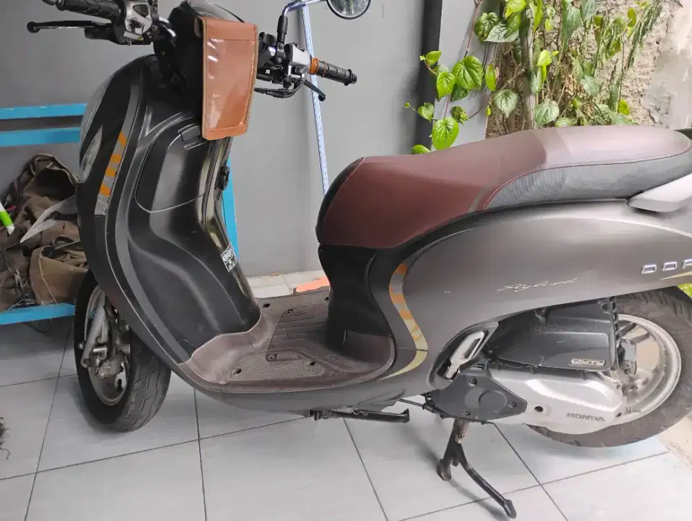 Scoopy Stylish 2020