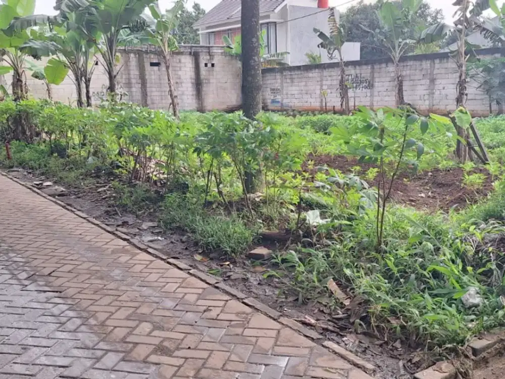 Tanah Ciater BSD SHM 3Jtan/M Dekat Toltasiun Rawa Buntu - Siap AJB - Bisa Cicilan Tanpa Bunga