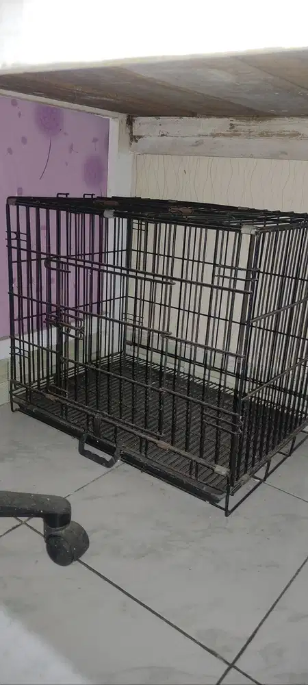 Jual kandang kucing warna hitam