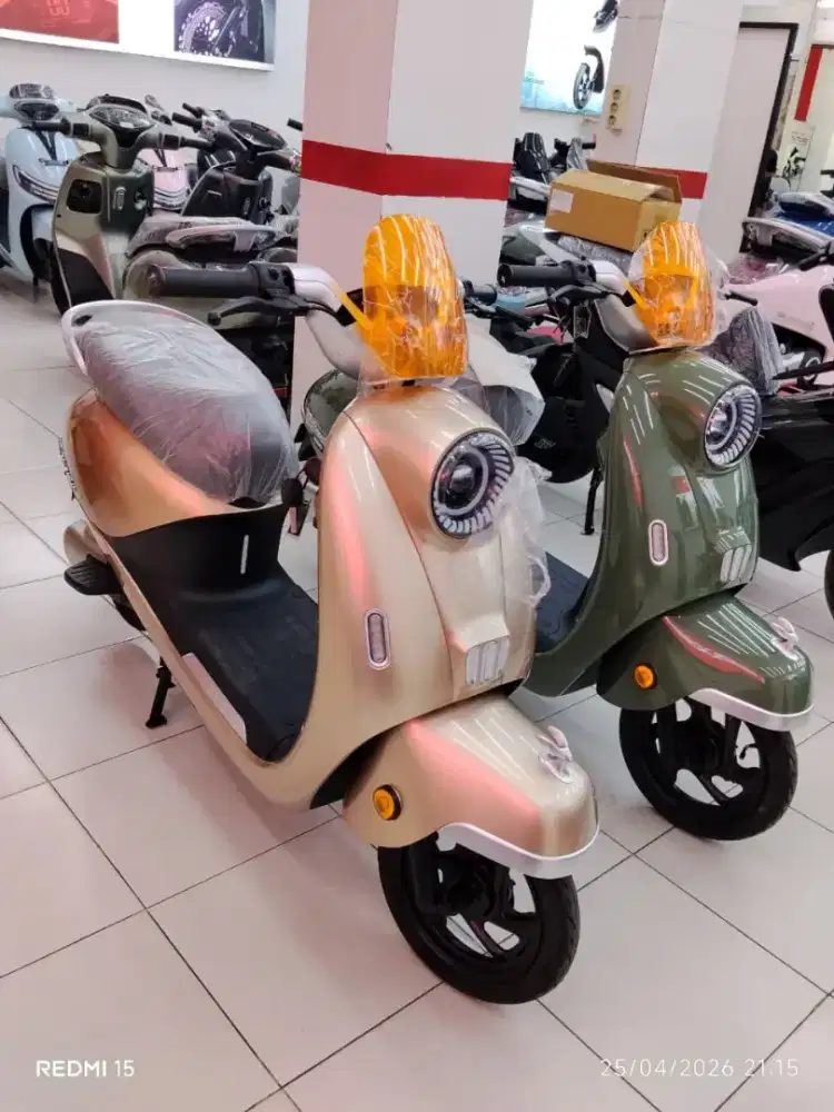 sepedah listrik T65L