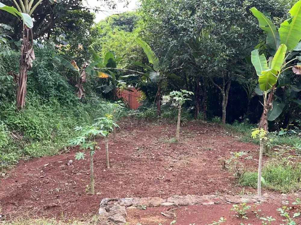 Tanah Murah, 685m Kayu Manis Tanah Sareal Kota Bogor