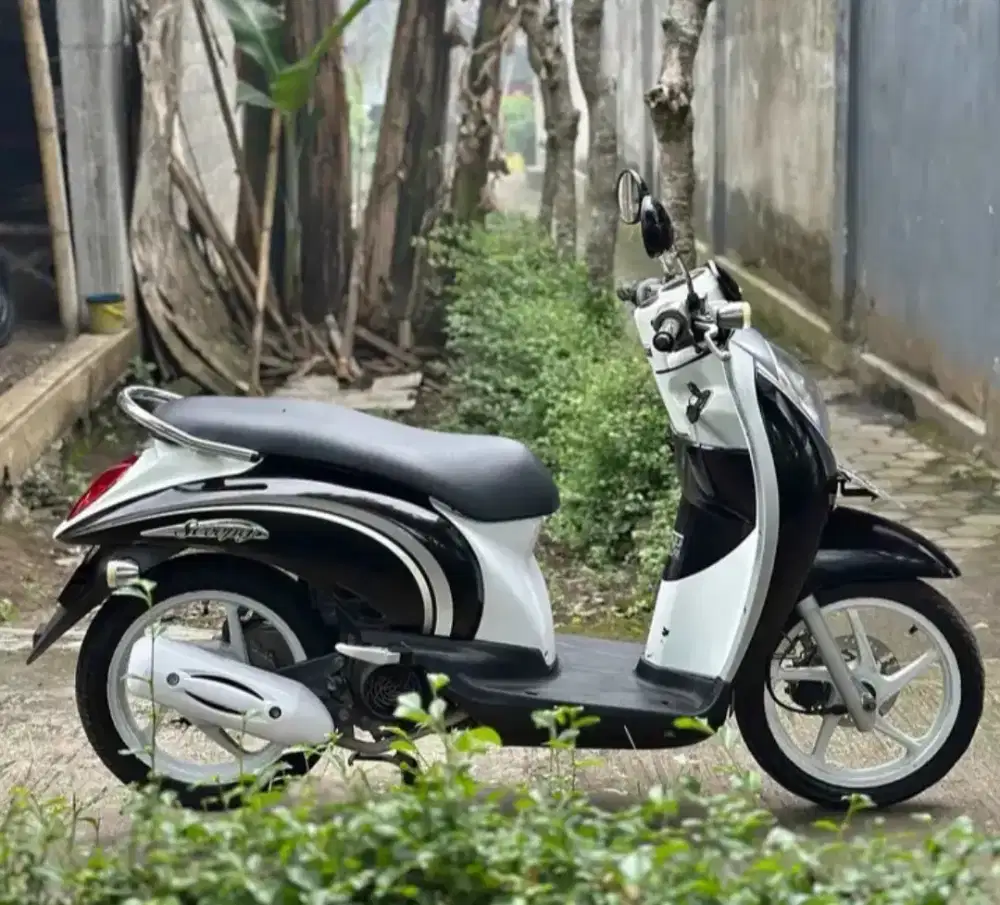 Honda Scoopy 2010