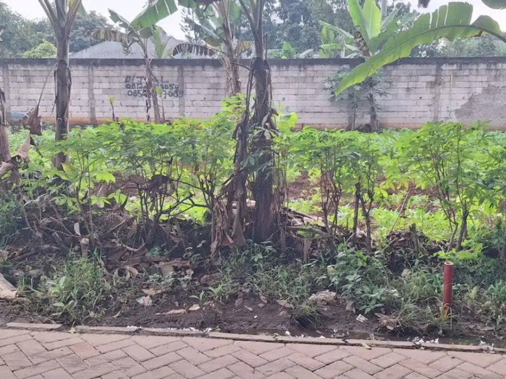 Tanah Ciater BSD Siap AJB - SHM 3Jtan/M - 10 Menit UNPAM Victor