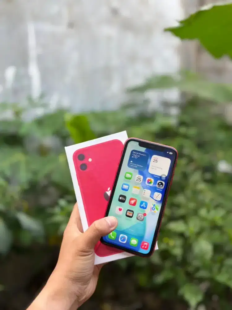 Iphone 11 128 All Operator