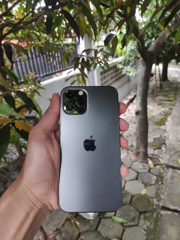 Iphone 12 PRO 128GB Nominus Mulus