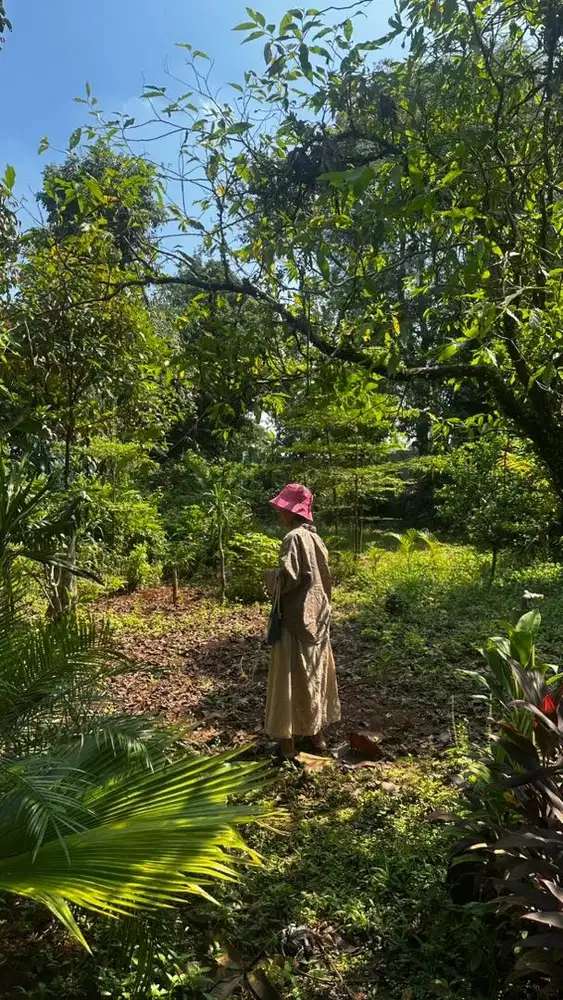 Dibutuhkan segera driver pengantar tanaman ke kantor2