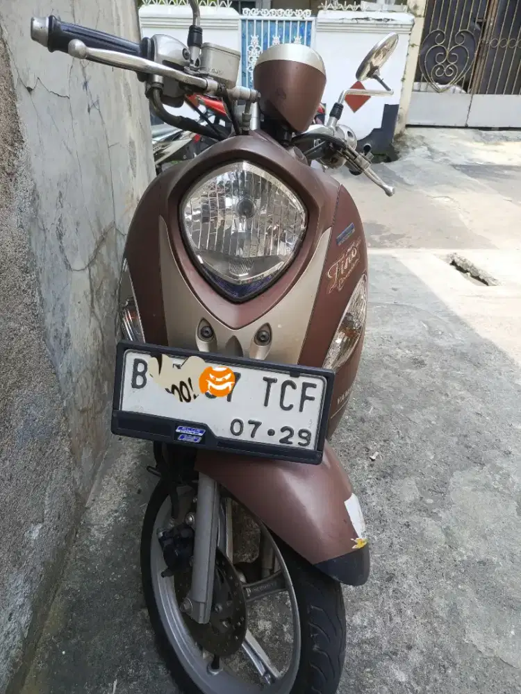 Fino grande tahun 2019