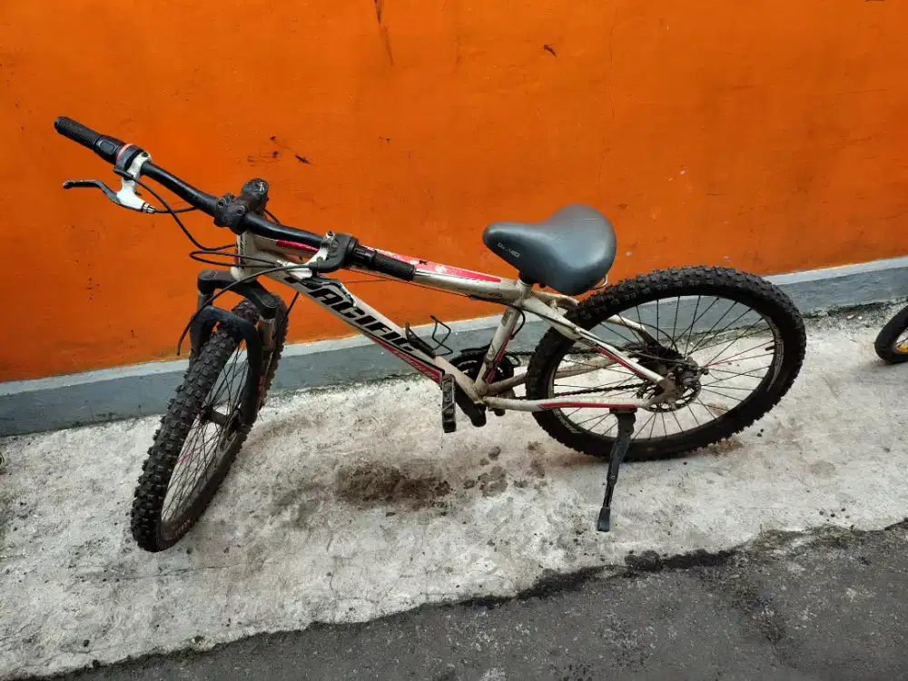 Sepeda gunung pasifik